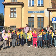 Podróż do Wierzchucina. Wycieczka do lasu koleją