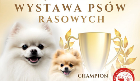 fot.  Gmina Dąbrowa Chełmińska