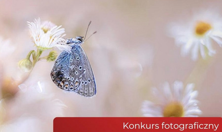 fot. Kujawsko - Pomorski Urząd Wojewódzki w Bydgoszczy